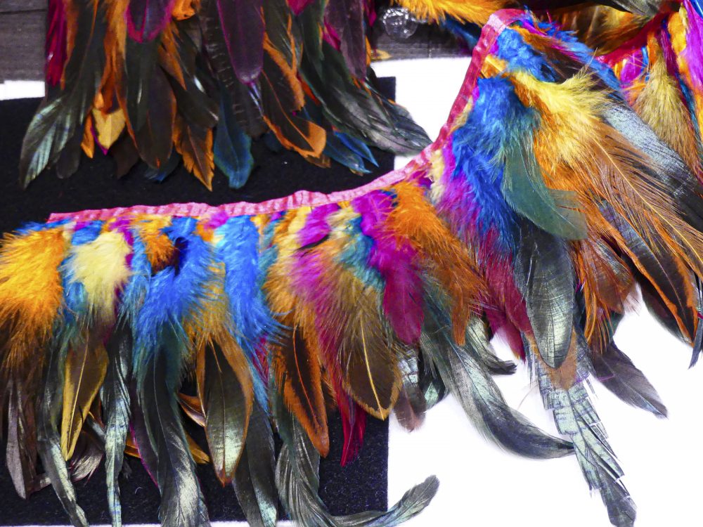 Plumes multicolor