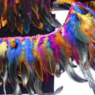 Plumes multicolor