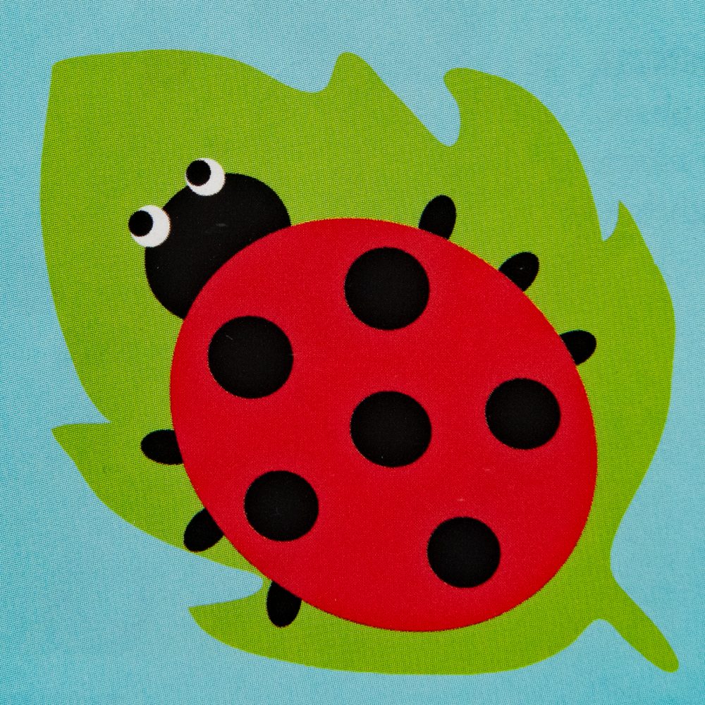 Canevas la coccinelle