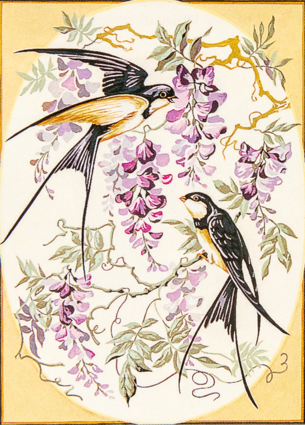 Hirondelles et glycines