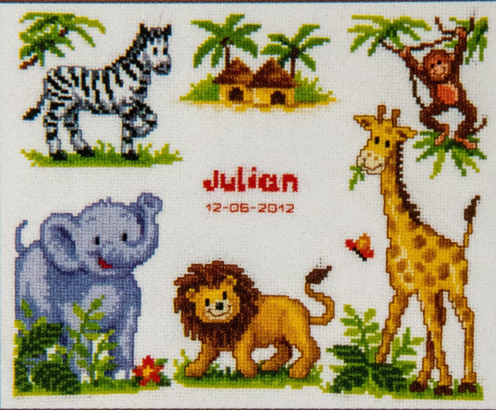 Animaux safari