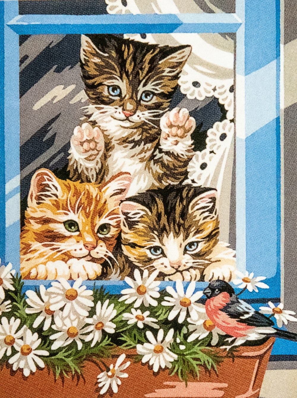 Chatons à la fenêtre