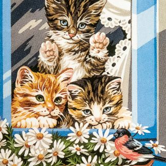 Chatons à la fenêtre