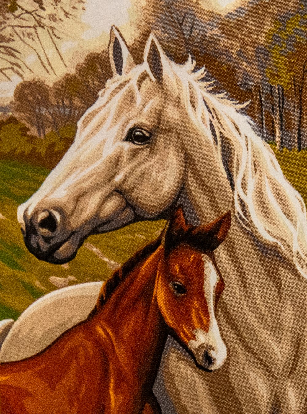 Jument et son poulain