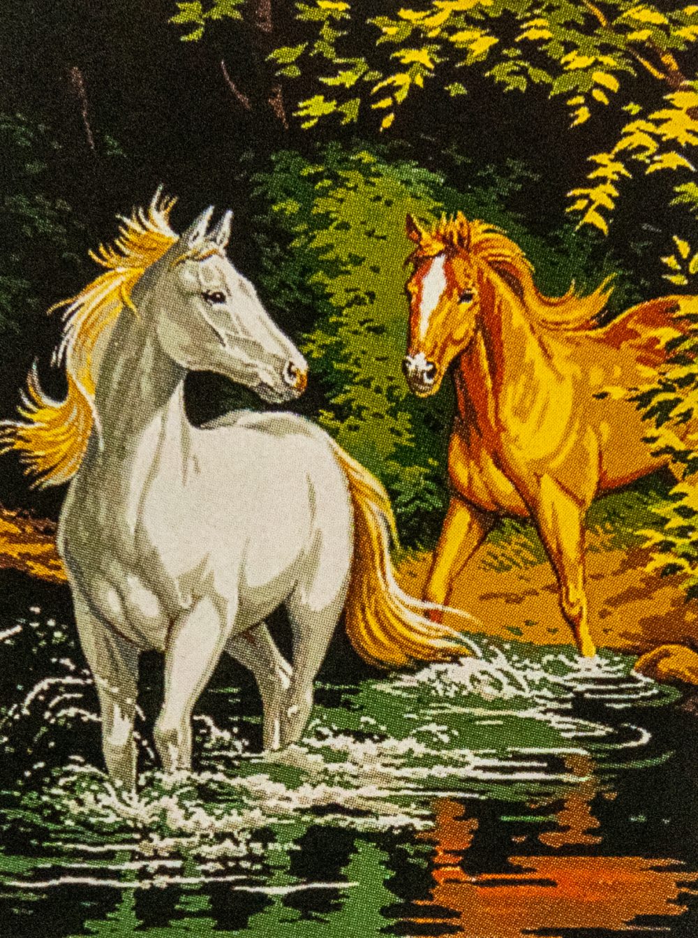 Chevaux dans le gué