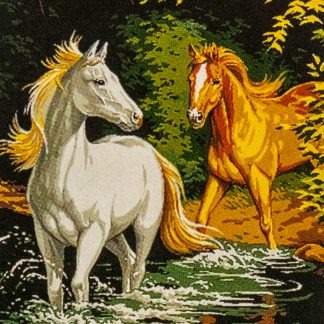 Chevaux dans le gué