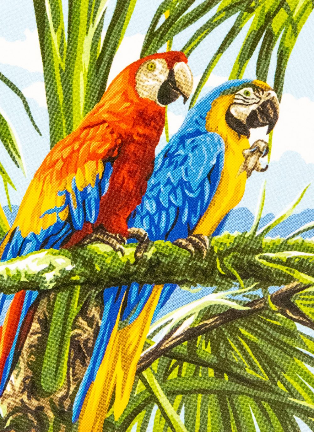 Perroquets