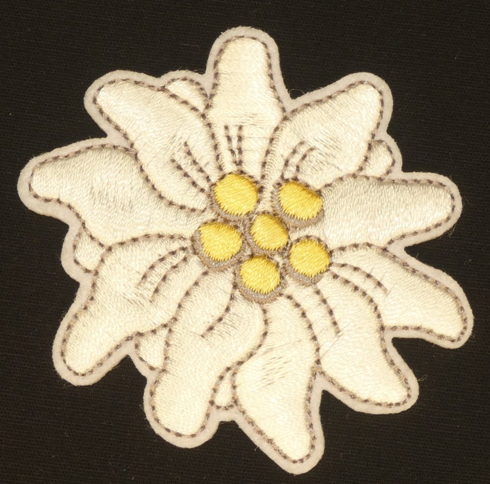 Ecusson edelweiss