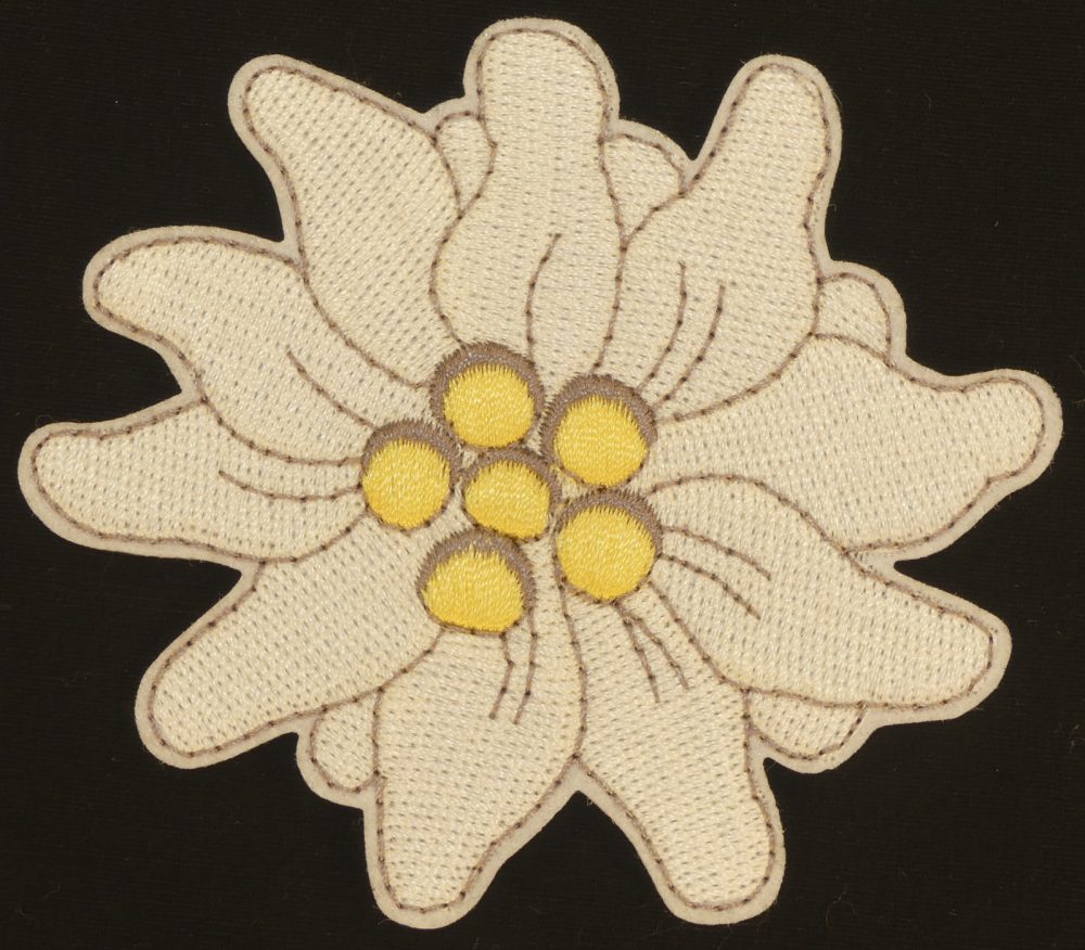 Ecusson edelweiss