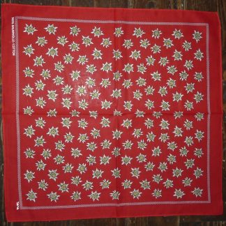 Foulard Edelweiss rouge