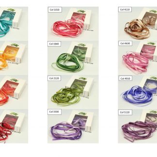 Ruban de Soie Dégradé Au Ver à Soie