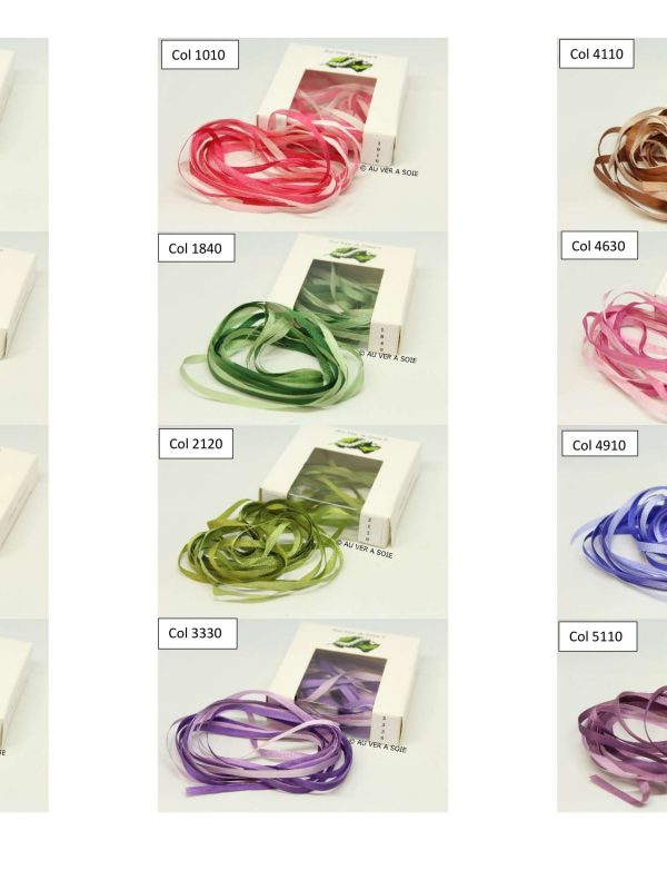 Ruban de Soie Dégradé Au Ver à Soie