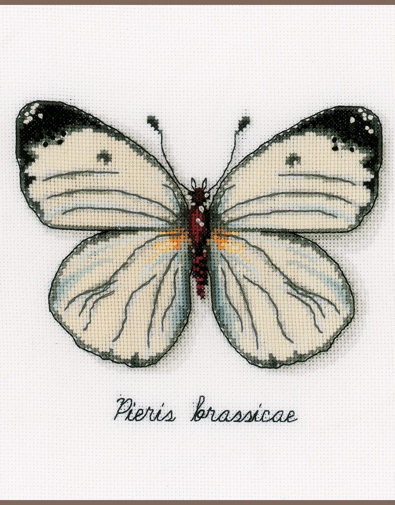 Papillon blanc