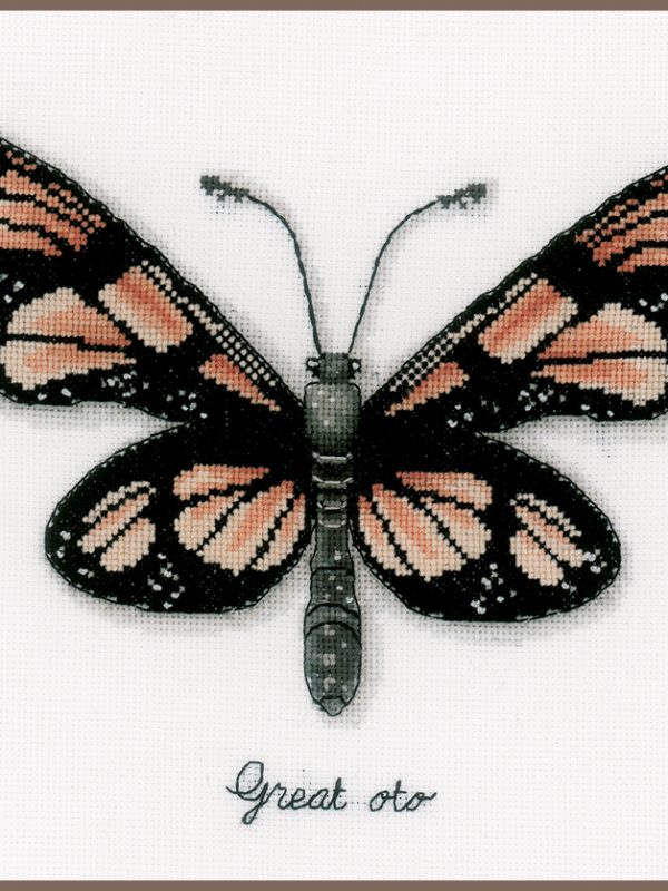 Papillon orange