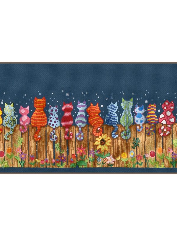 Chats sur la clôture