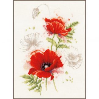 Coquelicots
