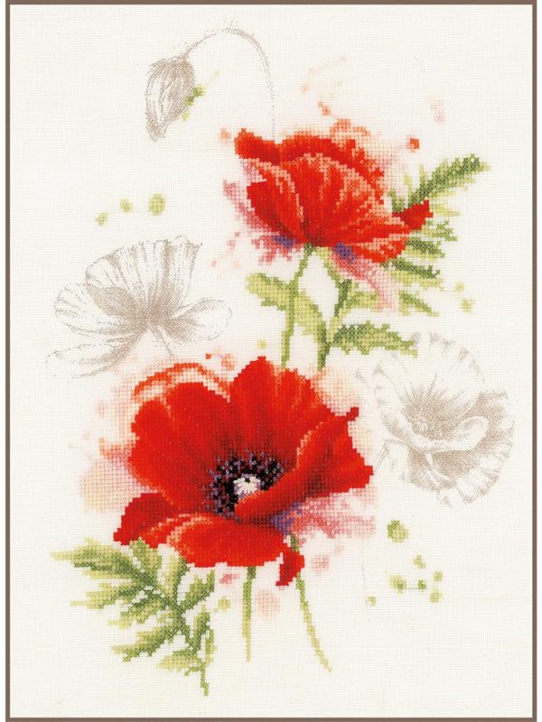 Coquelicots